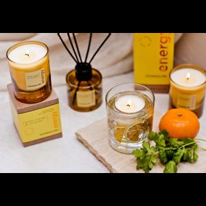 027881 Диффузор Elements Горький апельсин и кориандр Stoneglow