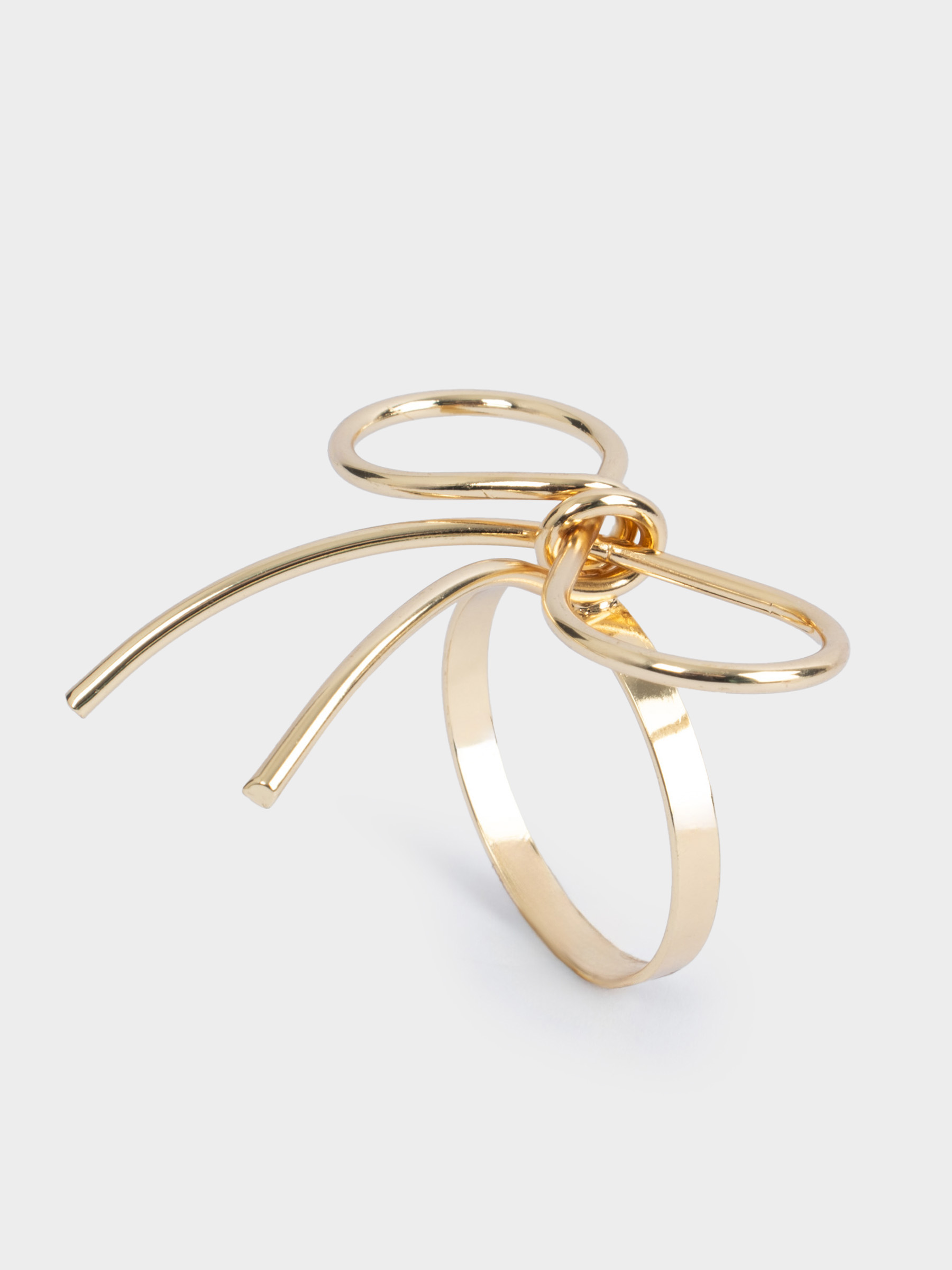 028292 Кольцо для салфеток Anna Lafarg