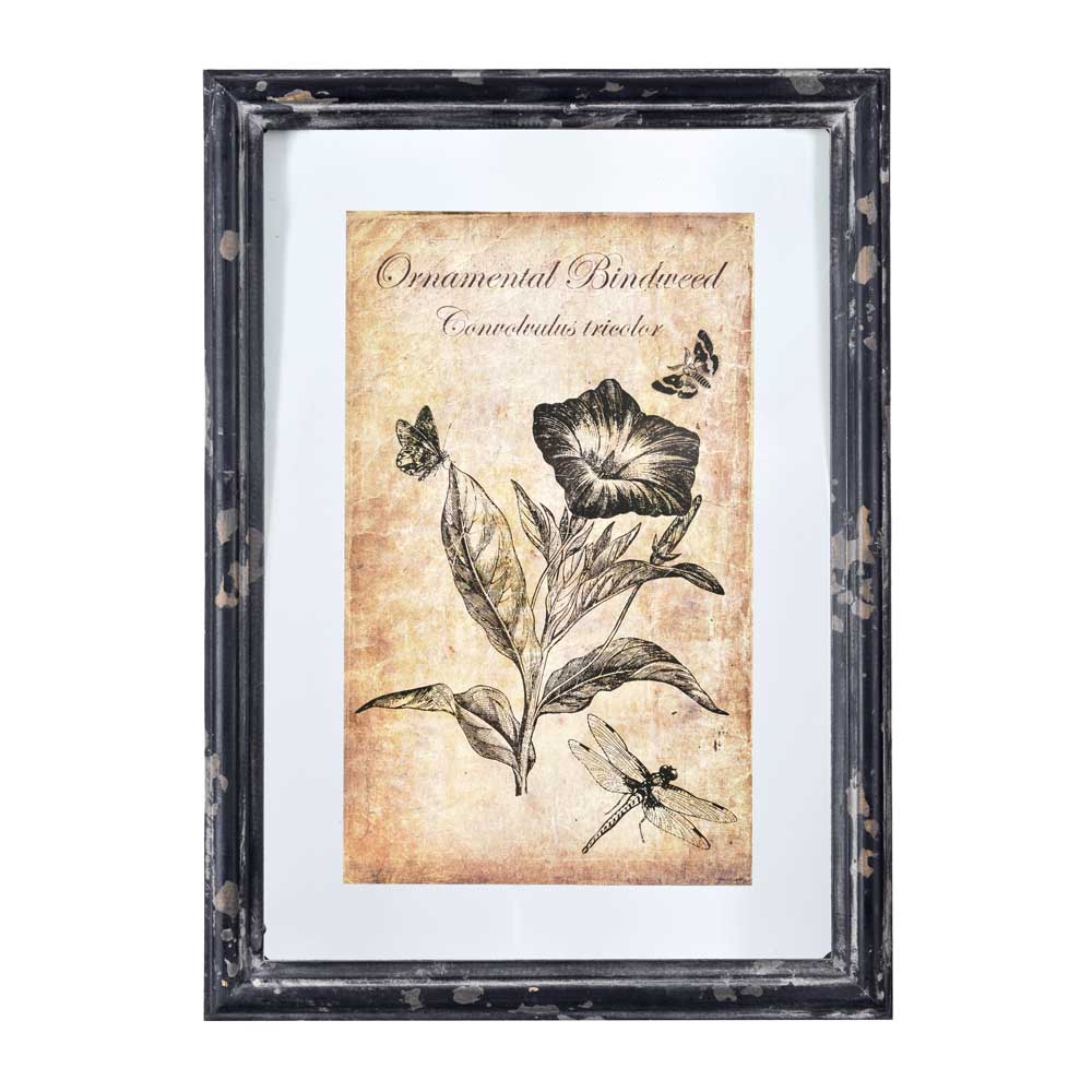 33320 Постер Clayre&Eef 35*49 см